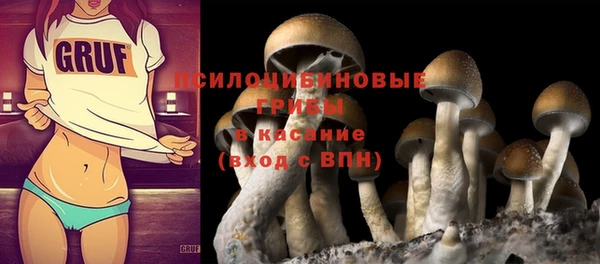 a pvp Арсеньев