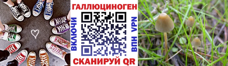 Галлюциногенные грибы MAGIC MUSHROOMS  купить   Асбест 