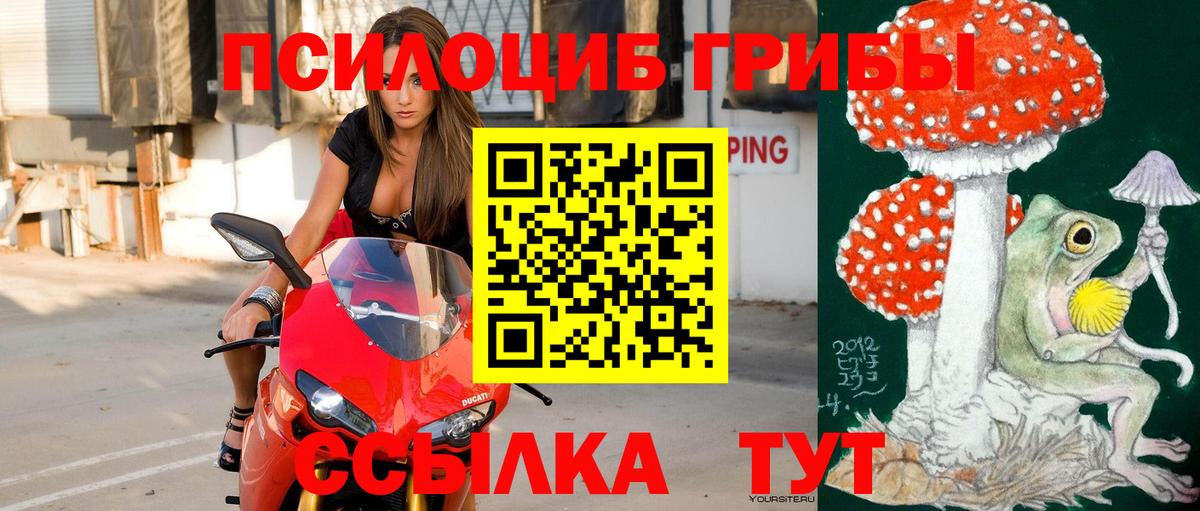 Псилоцибиновые грибы мухоморы Асбест