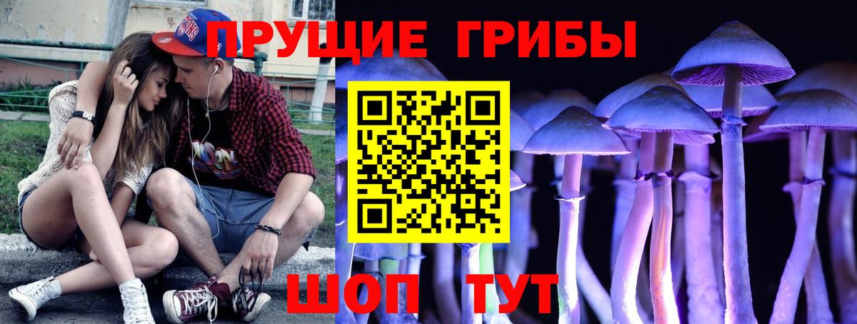 Галлюциногенные грибы Psilocybine cubensis  наркота  Асбест  Псилоцибиновые грибы MAGIC MUSHROOMS 